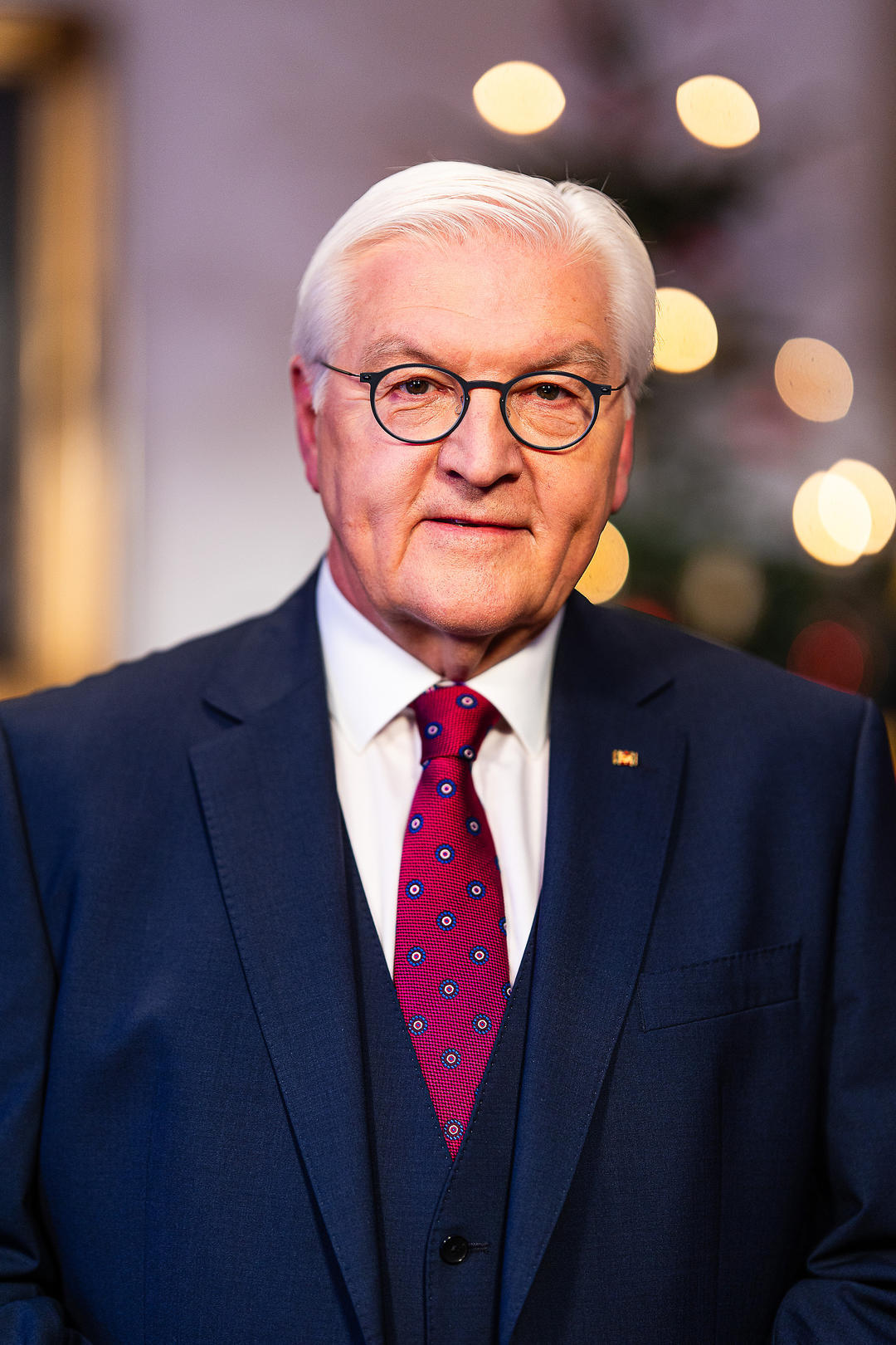 ▲德国总统施泰因迈尔 图据视觉中国