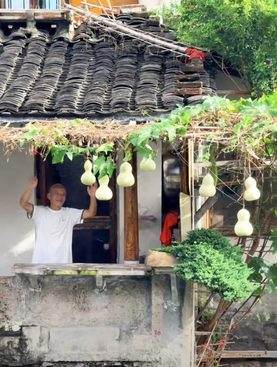 @霉豆腐咕饭