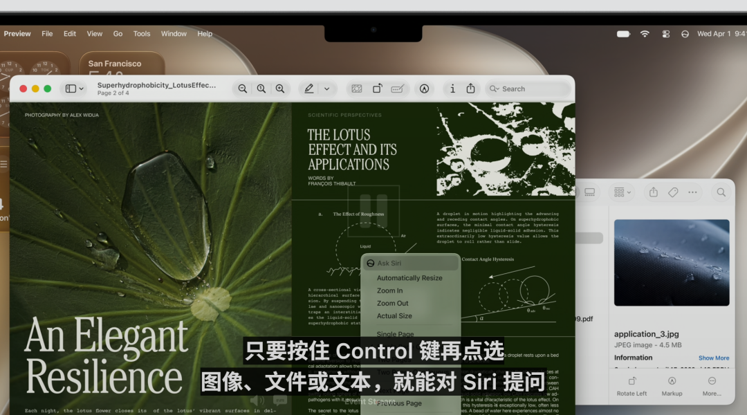 库克深情告别!Siri换脑重生,AI撑起苹果WWDC,中国市场:再等等