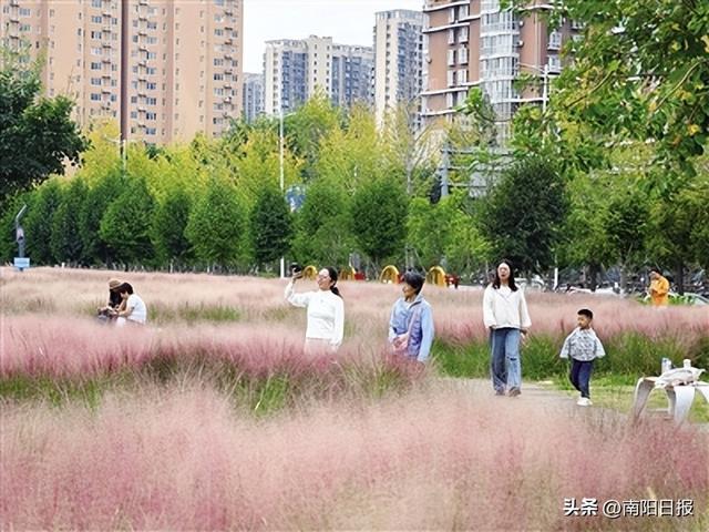 花海畅游