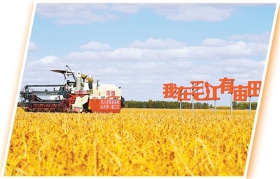  定制农业，如何让供需精准“握手”（人民眼&middot;提升农业质量效益）