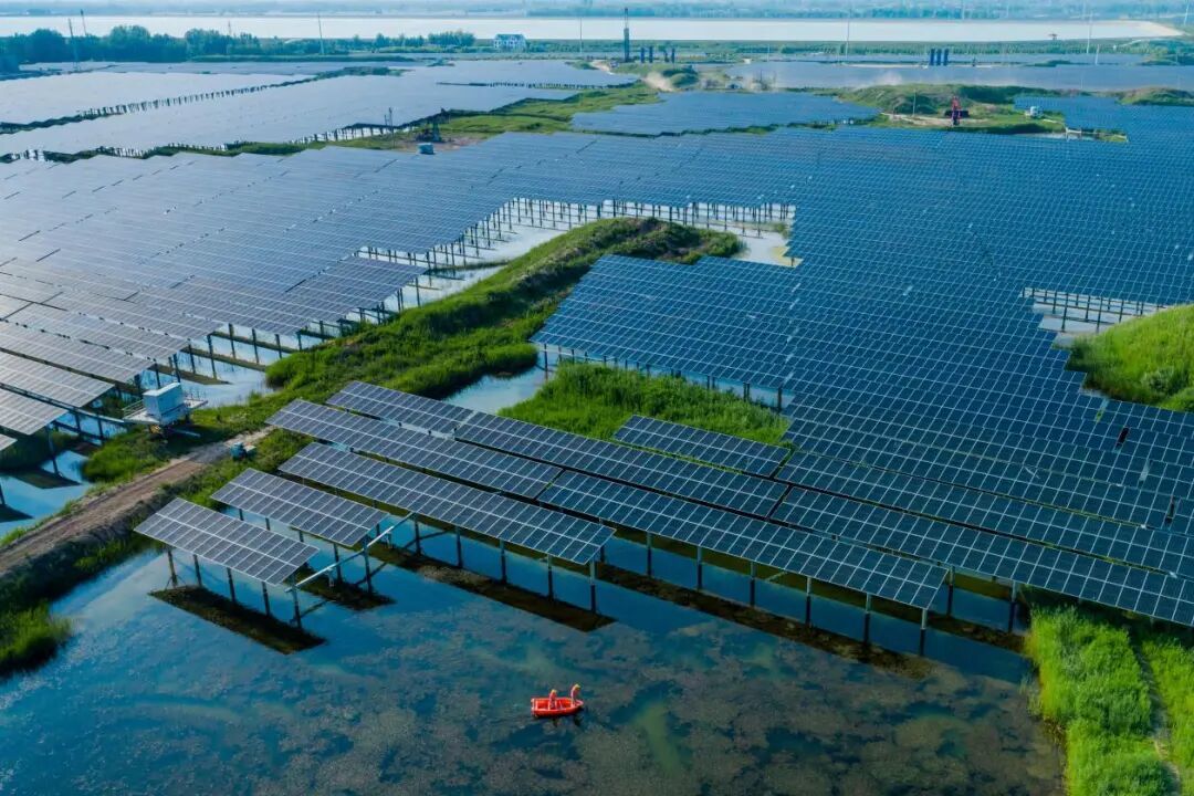2026年6月2日,位于山东省淄博市高青县的大芦湖“渔(农)光一体”光伏发电站。 (图源:新华社)
