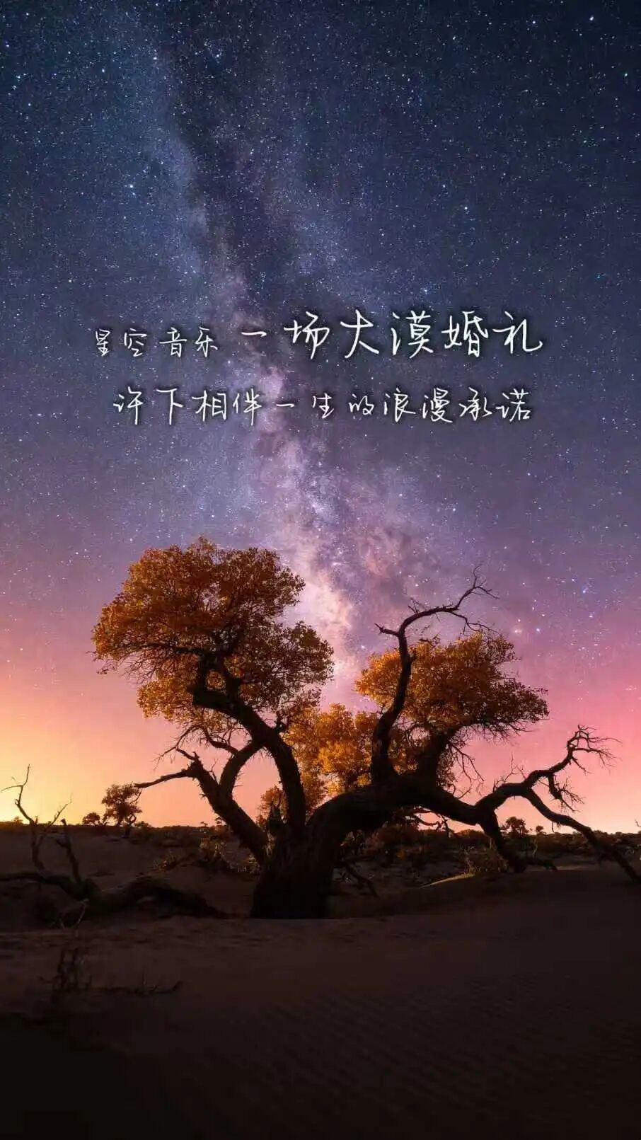 326979185.jpg