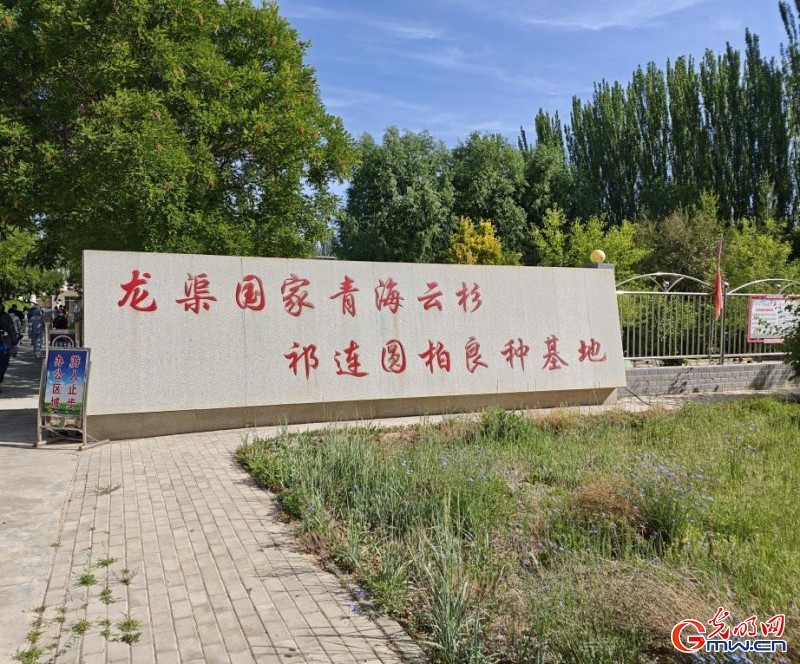 青春华章&middot;丝路逐光｜祁连山下，一群年轻人的逐梦之路