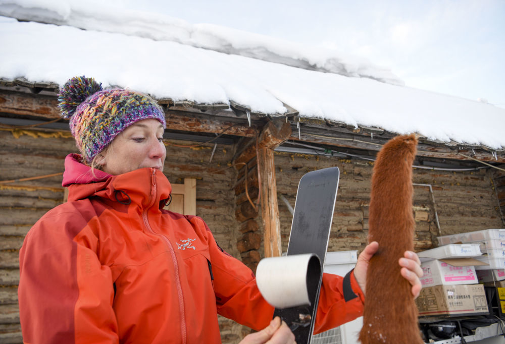 在新疆阿勒泰地区禾木村，一位法国雪友比较现代滑雪板的止滑带与古老毛皮滑雪板的异同（2019年1月11日摄）。新华社记者 胡虎虎 摄