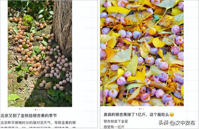截图自社交平台