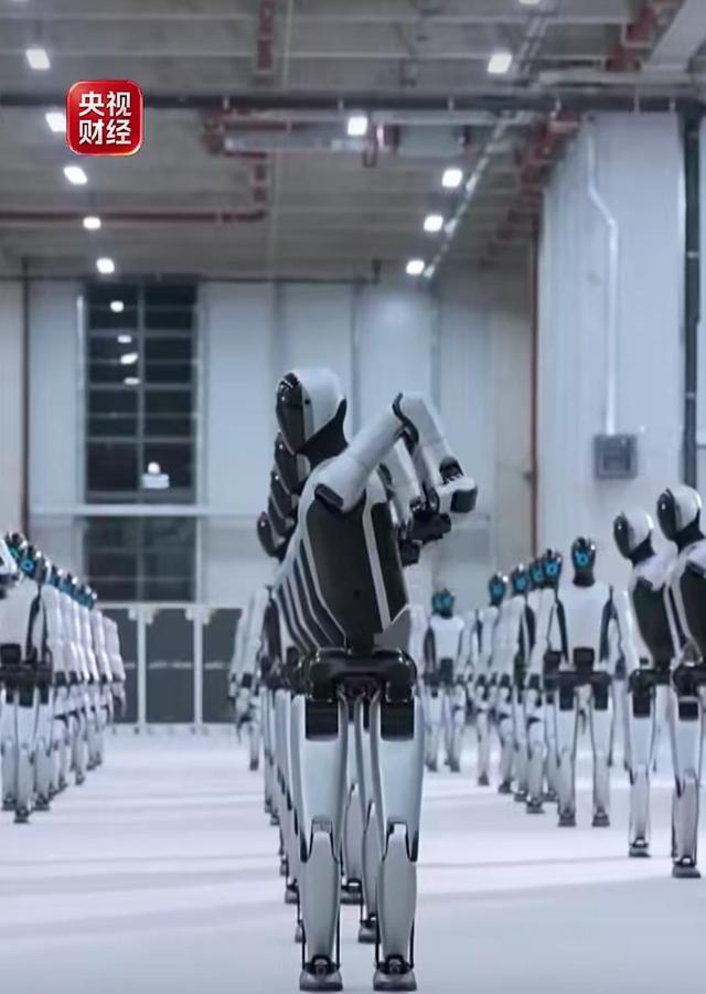 量产厂区内多台人形机器人整齐排列