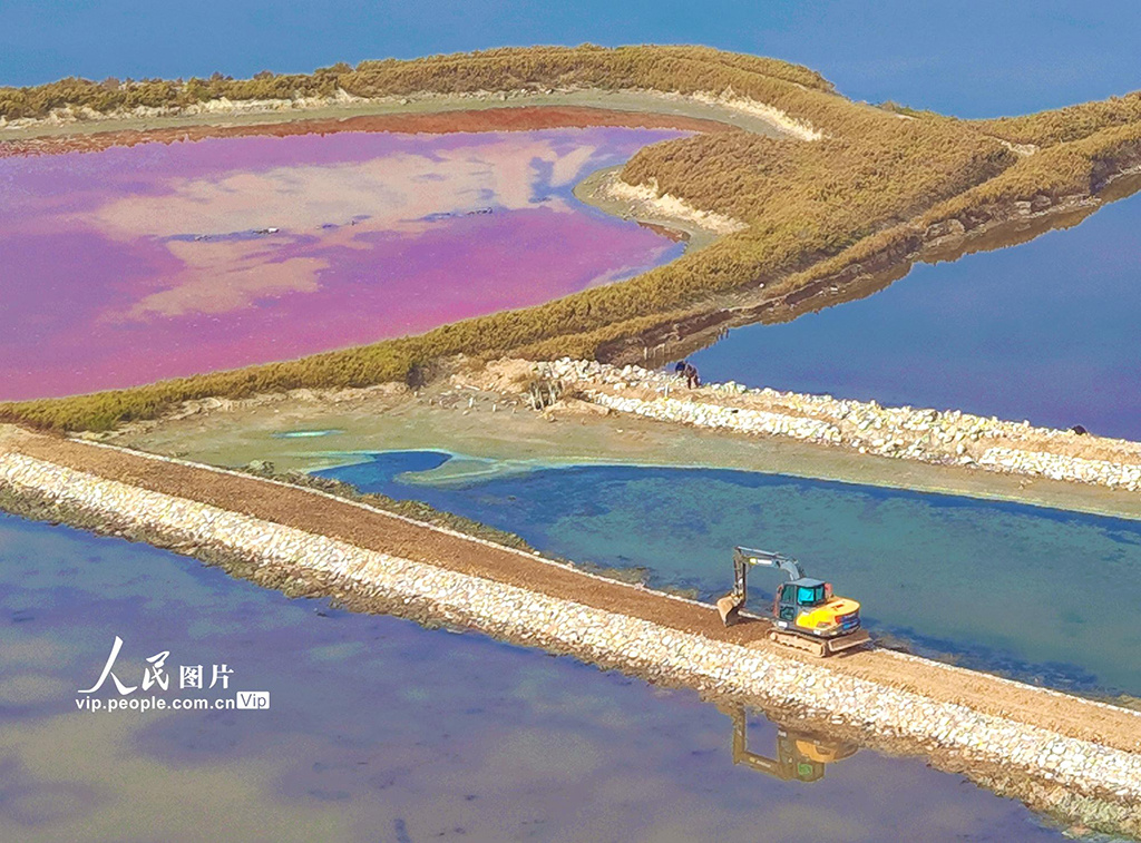 山西运城：堤埝加固 守护盐湖【3】