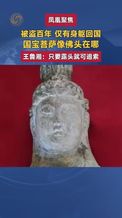 被盗百年，仅有身躯回国。王鲁湘：只要露头就可追索
