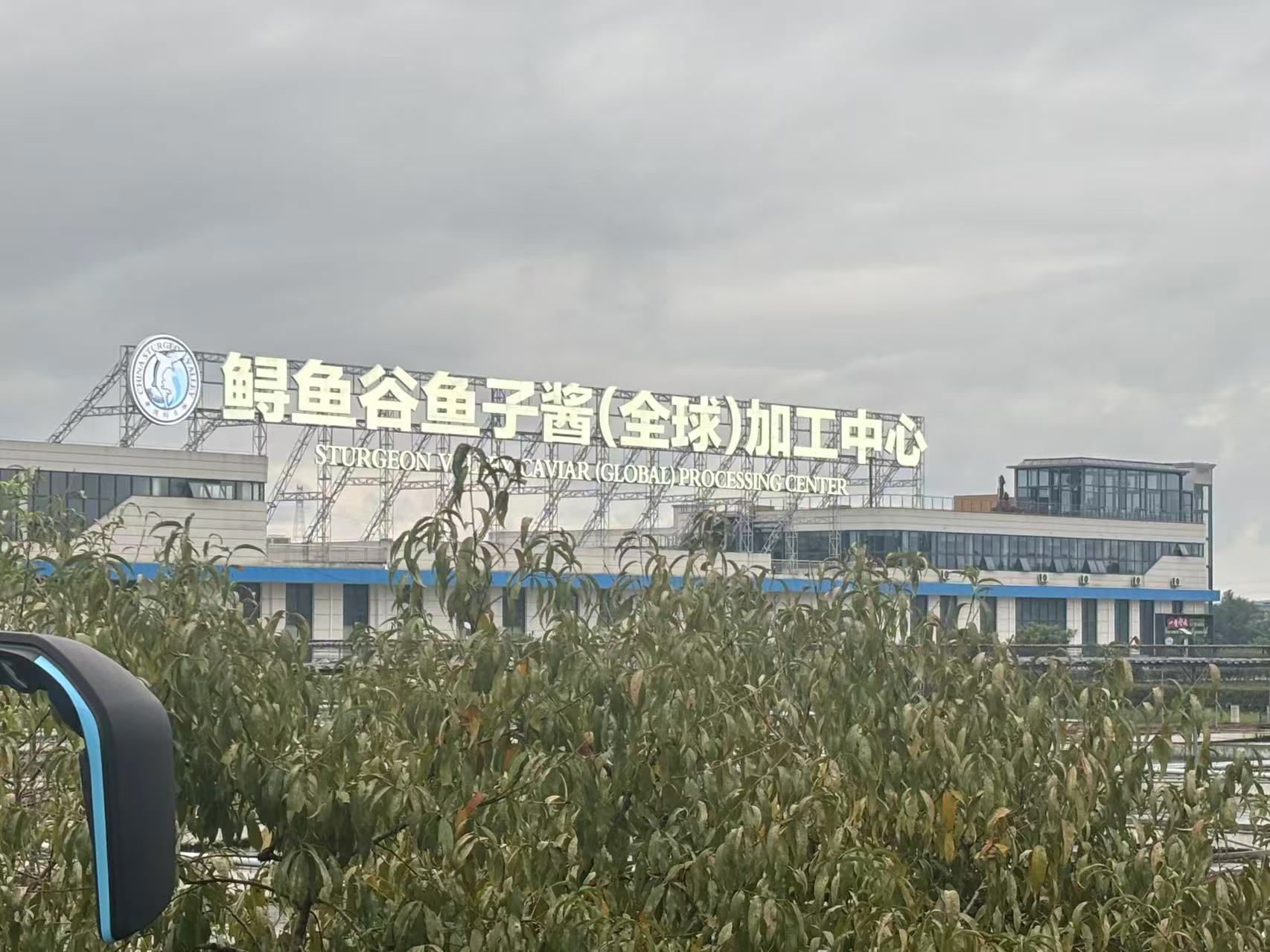 湖北清江鲟鱼谷 图片来源:财联社记者/摄