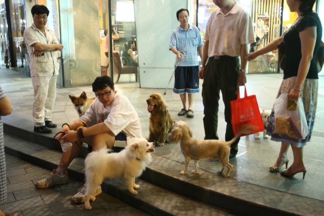图/图虫创意