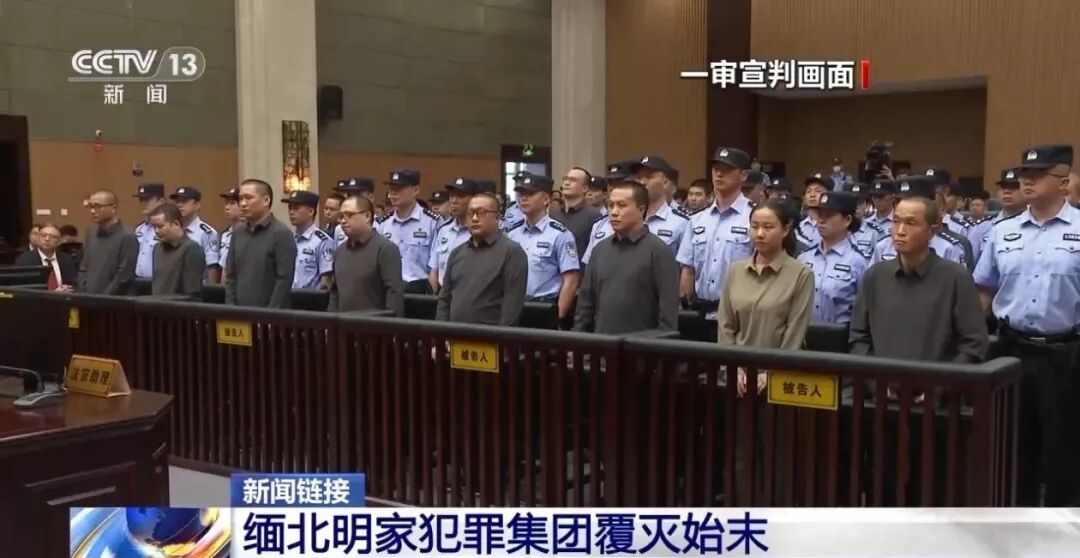 （图/央视）