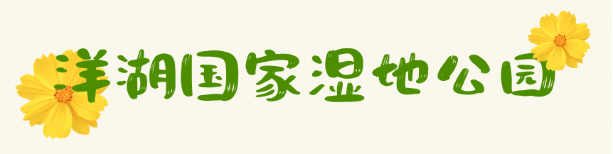 默认标题__2026-09-23+10_08_40.png