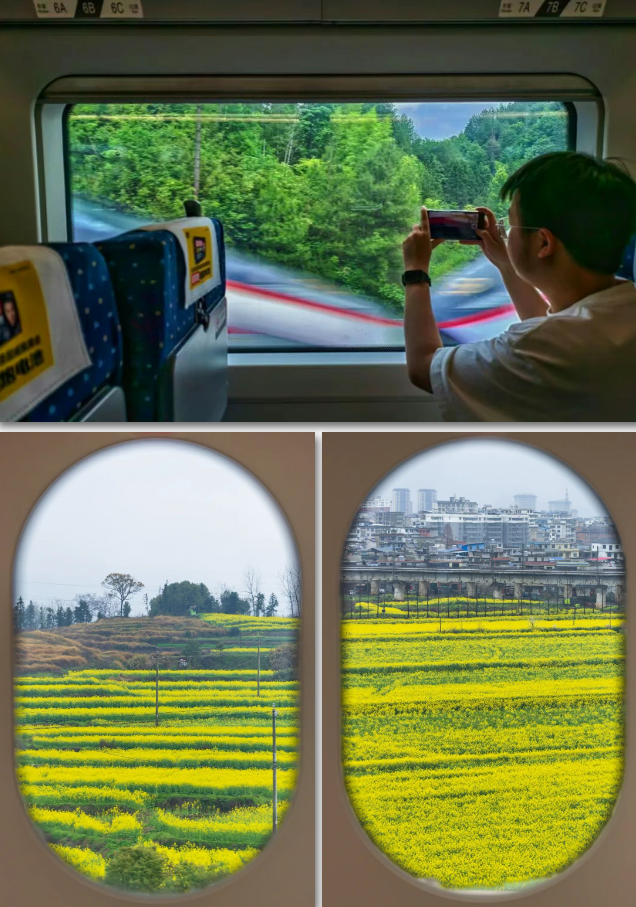 解锁春日之旅 限定版“花海列车”别错过