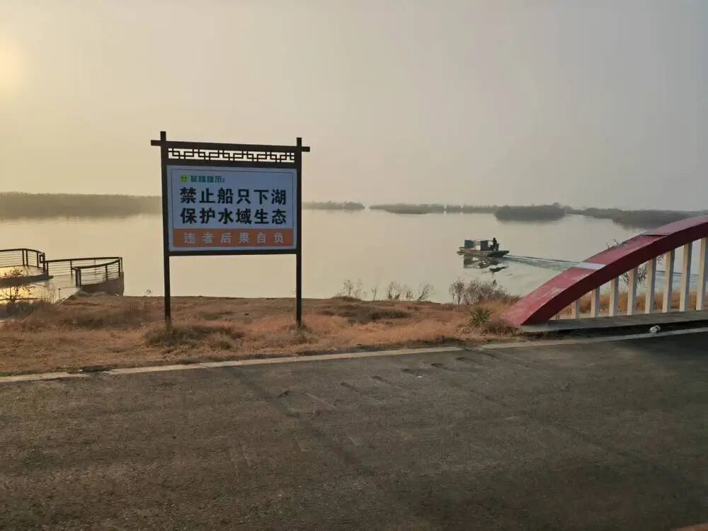 洪泽湖西南部水域不时有各类船只入湖，有的公然撒网捕鱼。新华社记者 陆华东 摄