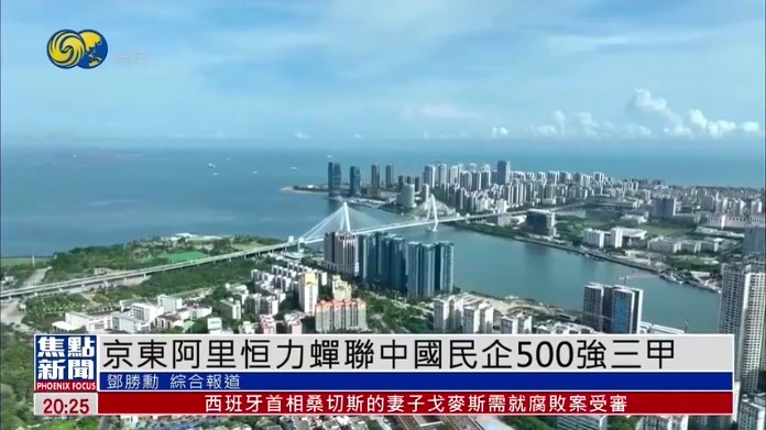 京东阿里恒力蝉联中国民企500强三甲