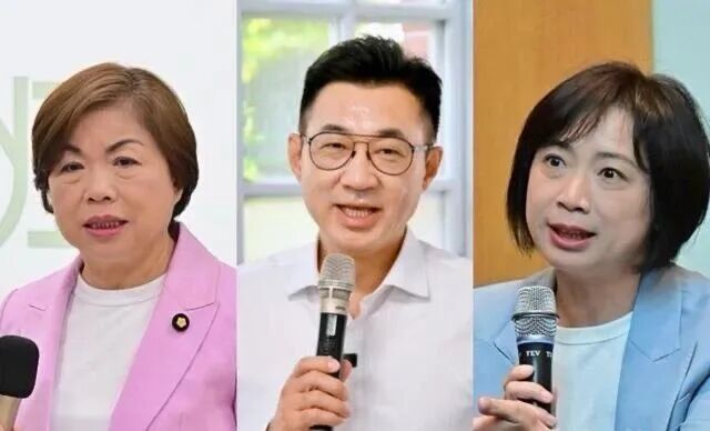 ▲国民党民代杨琼璎、江启臣;民进党民代何欣纯