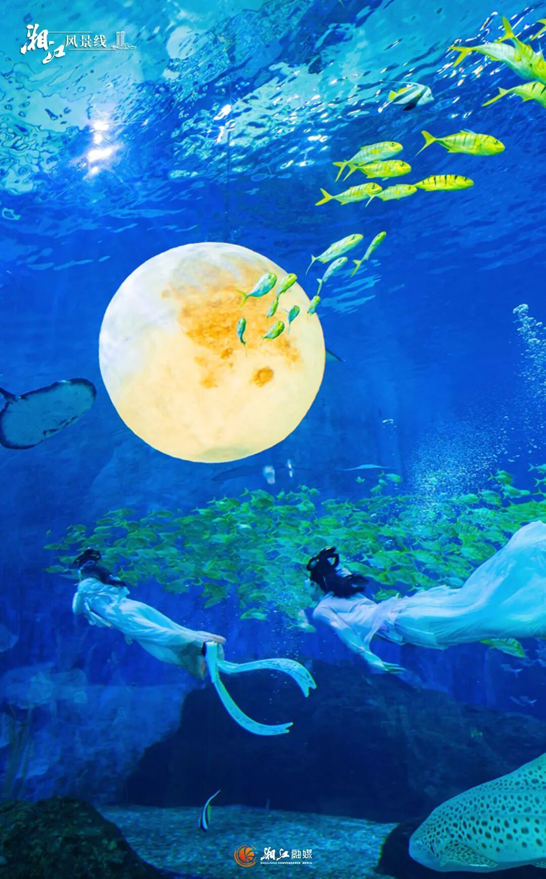 海洋.jpg