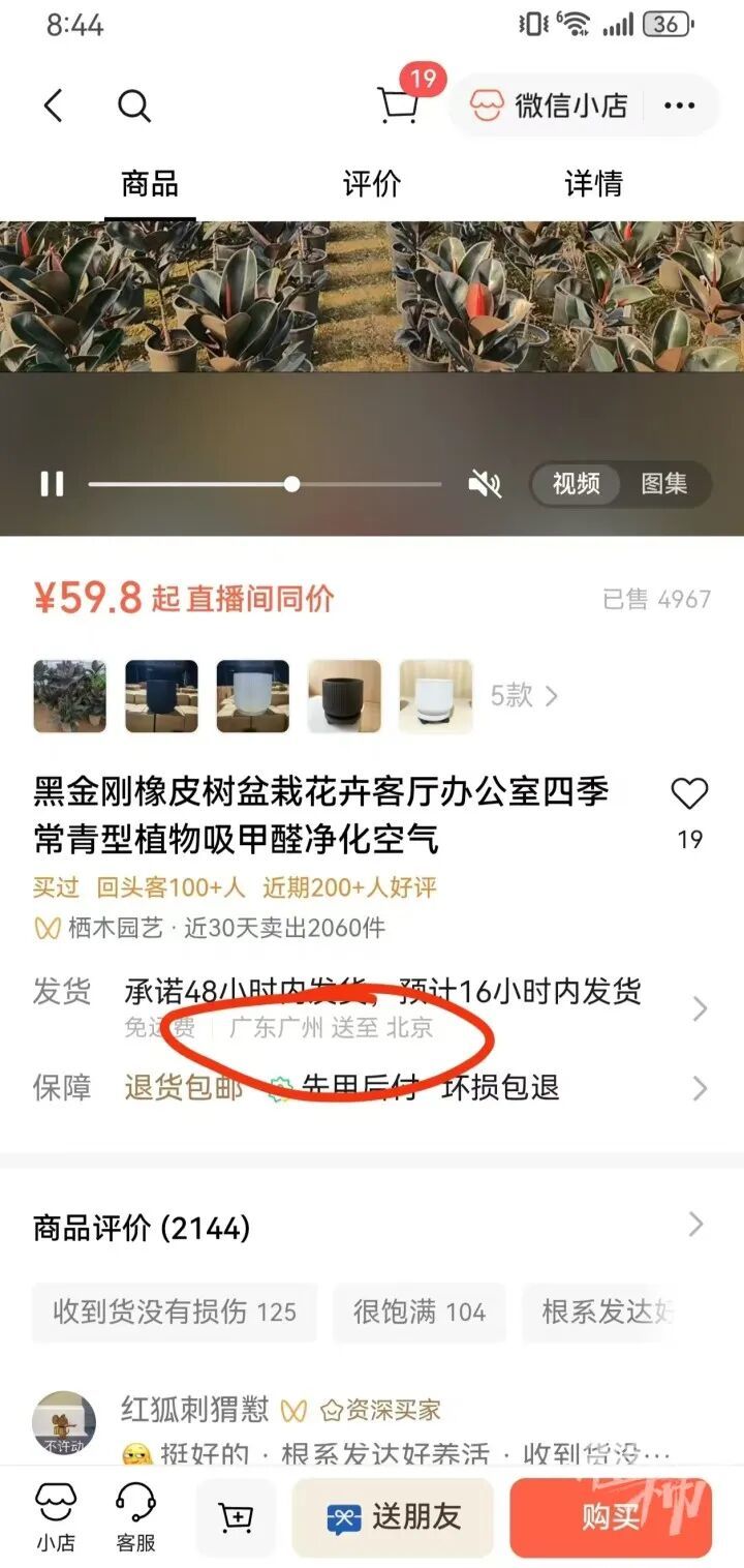 高女士网购的绿植(广州运往北京)