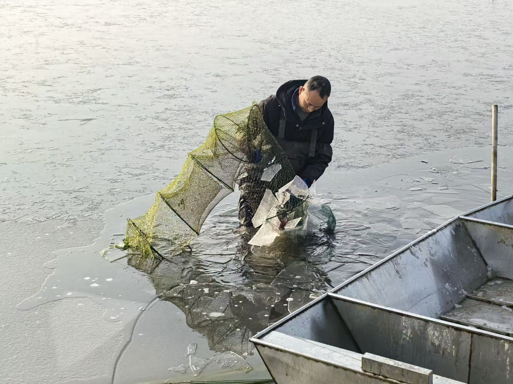 虾农罗吉登正在破冰捞虾。人民网记者 张隽摄