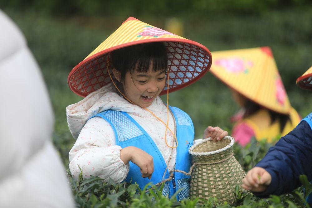 ↑4月3日，在重庆市秀山土家族苗族自治县梅江镇兴隆坳现代农业园区茶叶示范基地，小朋友在采摘茶叶。新华社发（胡程摄）