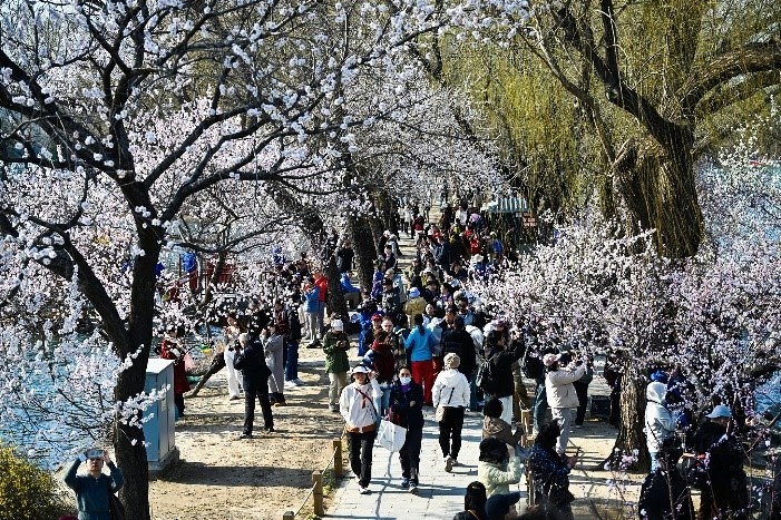 （3月 春天里的颐和园游东谈主如织）