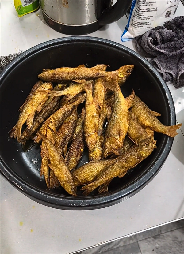 养鱼爱好者的噩梦！沃尔达智能插排遭黑客攻击：一缸鱼全没了