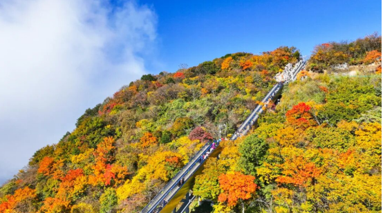 0771b34d42387e9c457b4d51c4a6fb90.png
