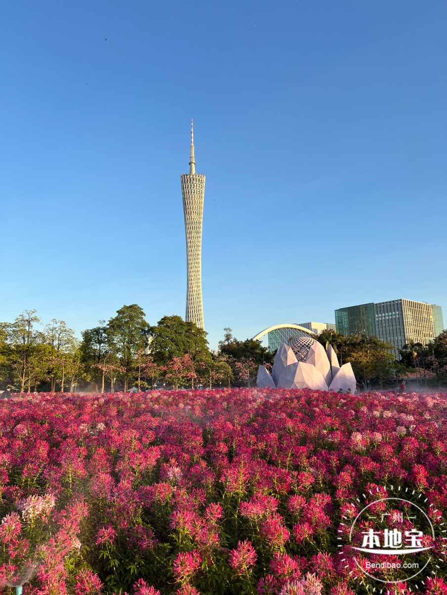 微信图片_20261009163150_339_21.png