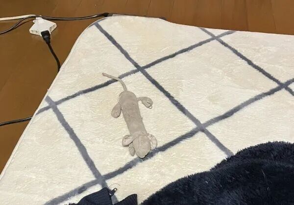 ▲。(圖/翻攝自X/@kan_3030)