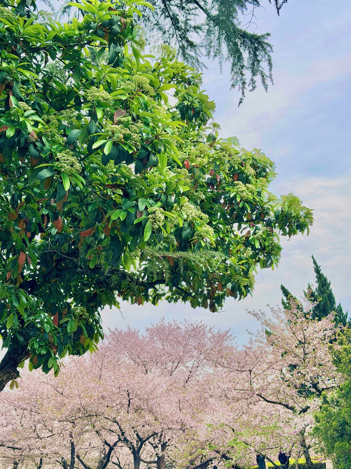 微信图片_20260331015133_1981_329