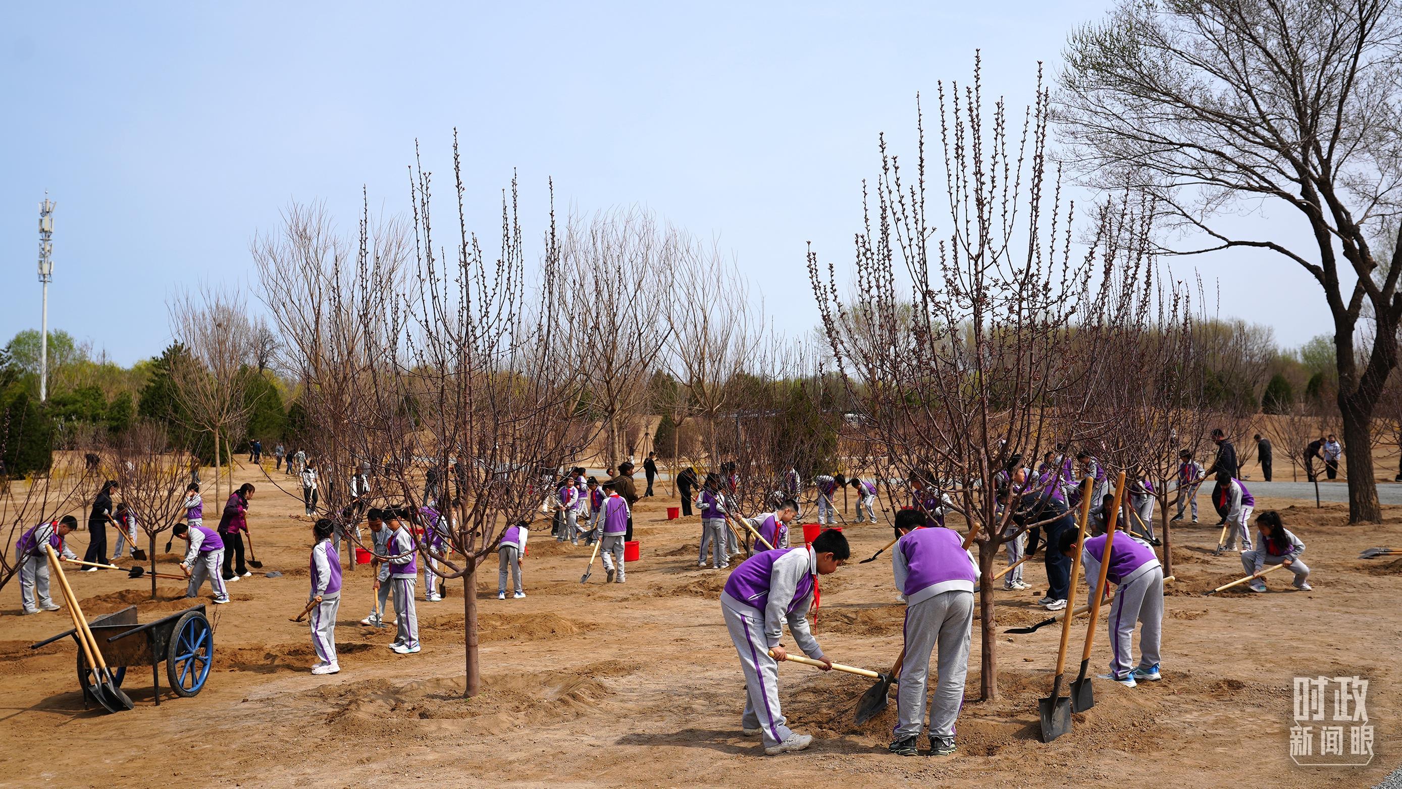 △昌平区百善镇植树点。（总台央视记者王冰拍摄）