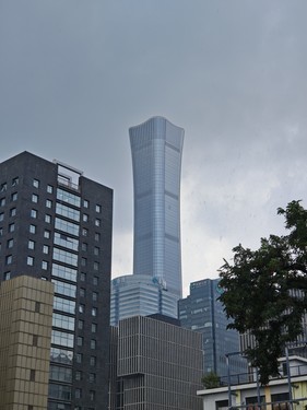 样张