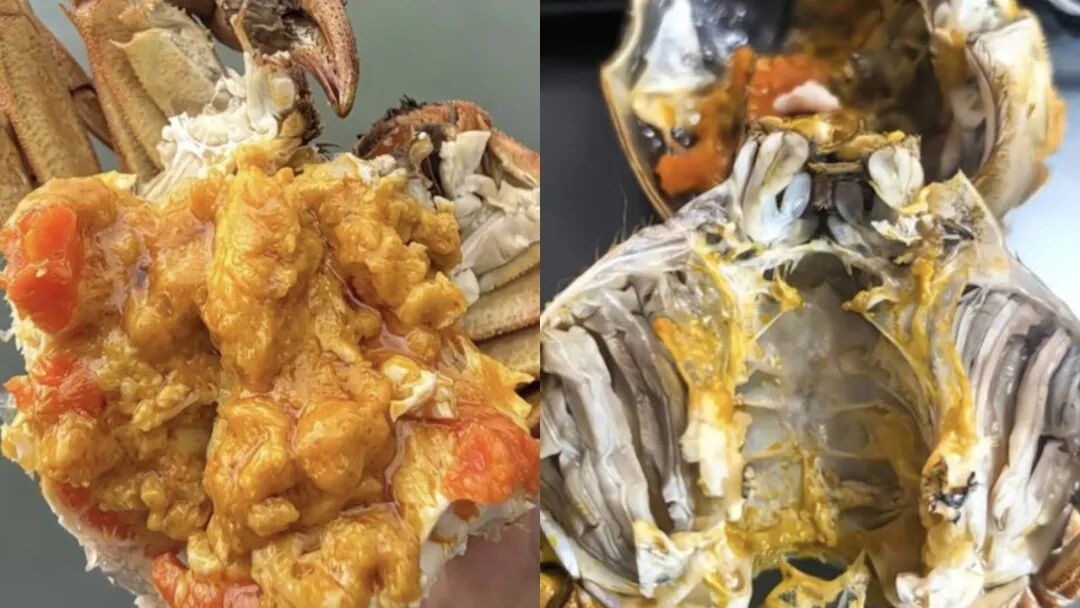 网友们分享吃螃蟹经验 今年的大闸蟹不敢乱吃了