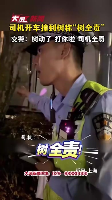 司机开车撞到树称“树全责”，交警：树动了 打你啦 司机全责