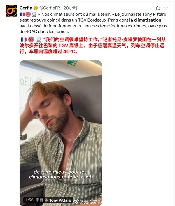 持续极端高温已致人员伤亡 法国网友破防：在中国猪都有空调