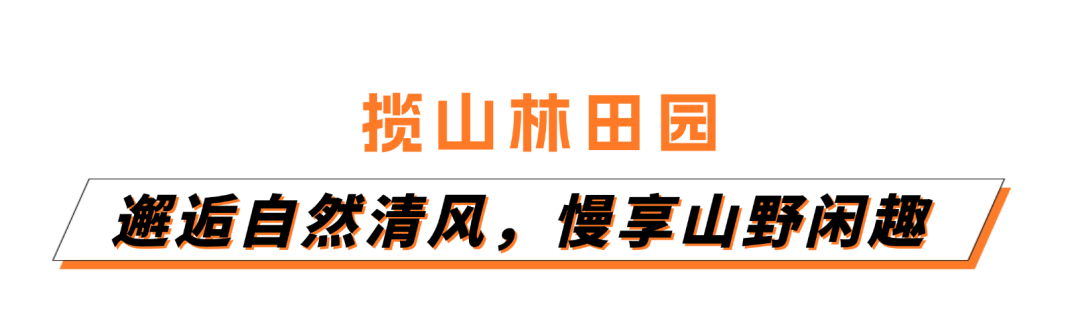 稿定设计-1.png