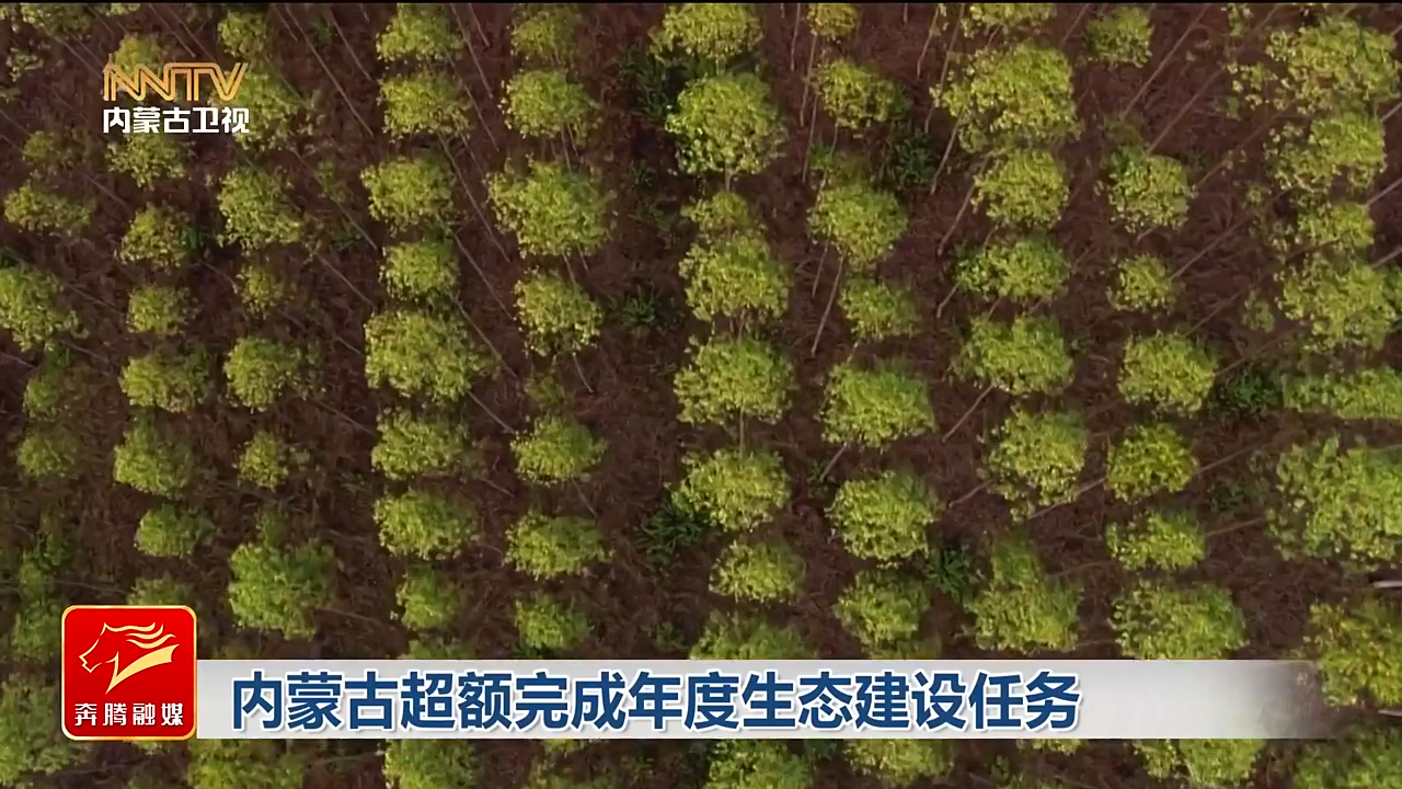 视频截图