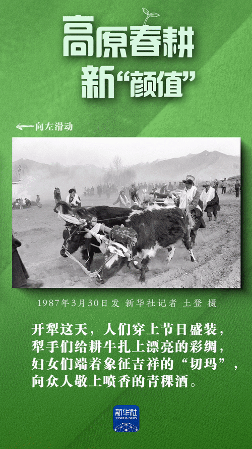 高原春耕新“颜值”