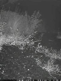 203x270_6ac85c73e3f91.gif?X-Amz-Content-