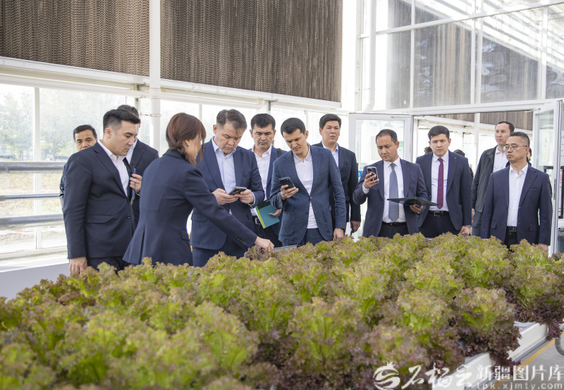代表团在新疆农业博览园智慧农业科技馆参观。巨海成 摄