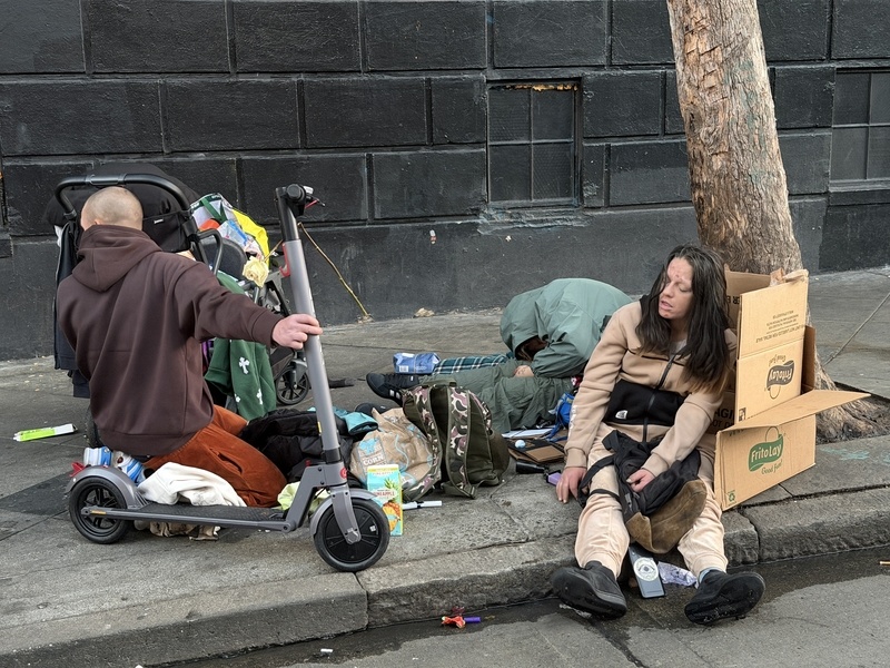 加州洛杉矶的断梗飘萍者 东方IC