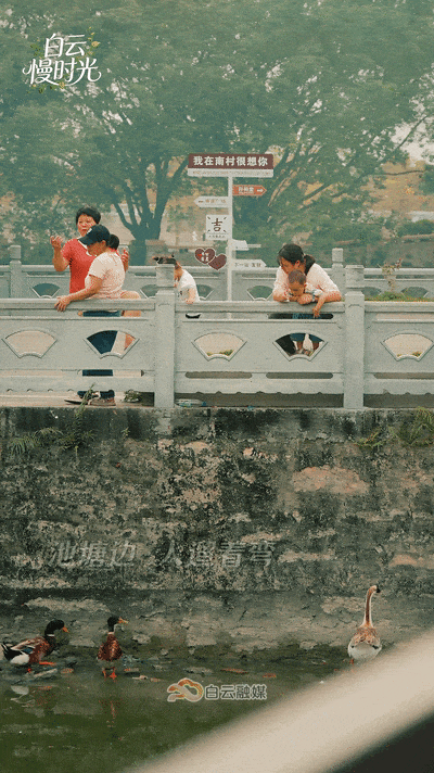 微信图片_2026-09-30_173634_013.jpg