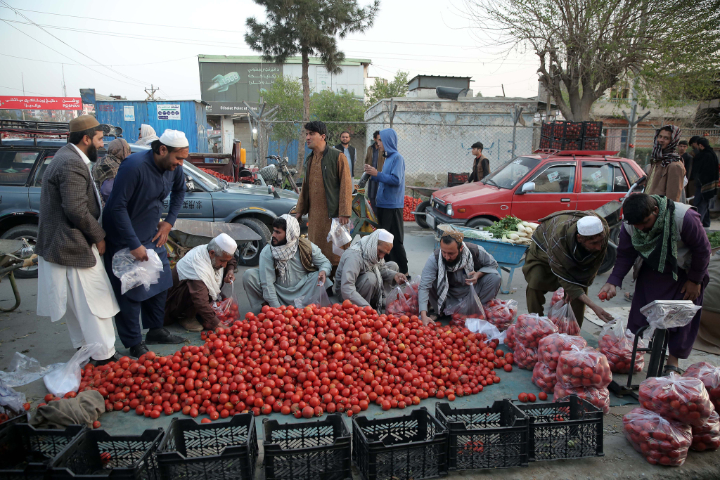 当地时间2026年2月28日,阿富汗贾拉拉巴德,巴阿边境冲突后的日常生活场景。视觉中国 图