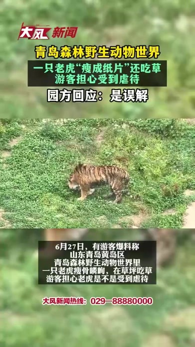 一只老虎“瘦成纸片”还吃草，游客担心受到虐待，园方回应：游客误解了