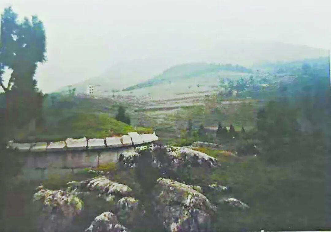 最早在钱壮飞义士就义处建的无名赤军墓