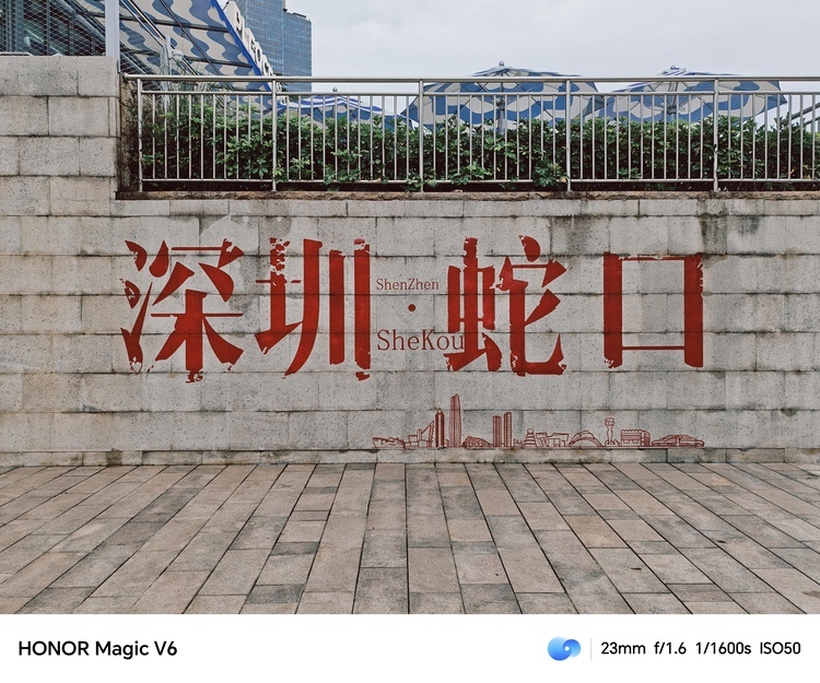 图源:不客观实验室