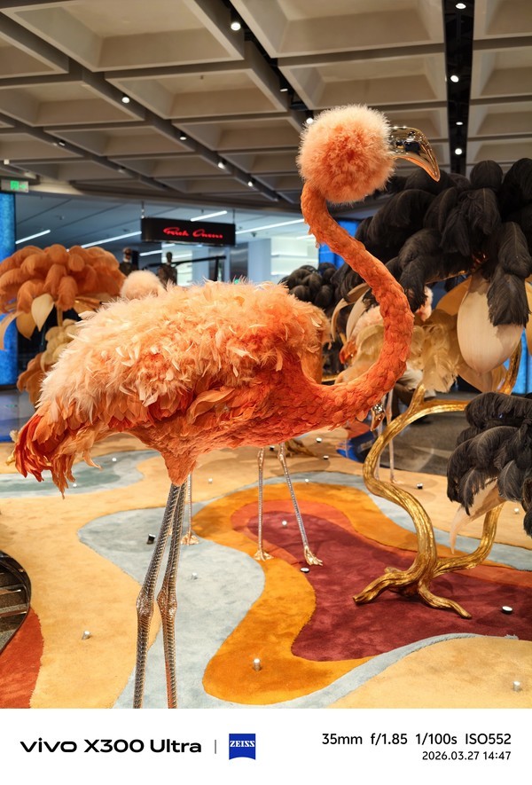 使用35mm蔡司人文纪实镜头拍摄