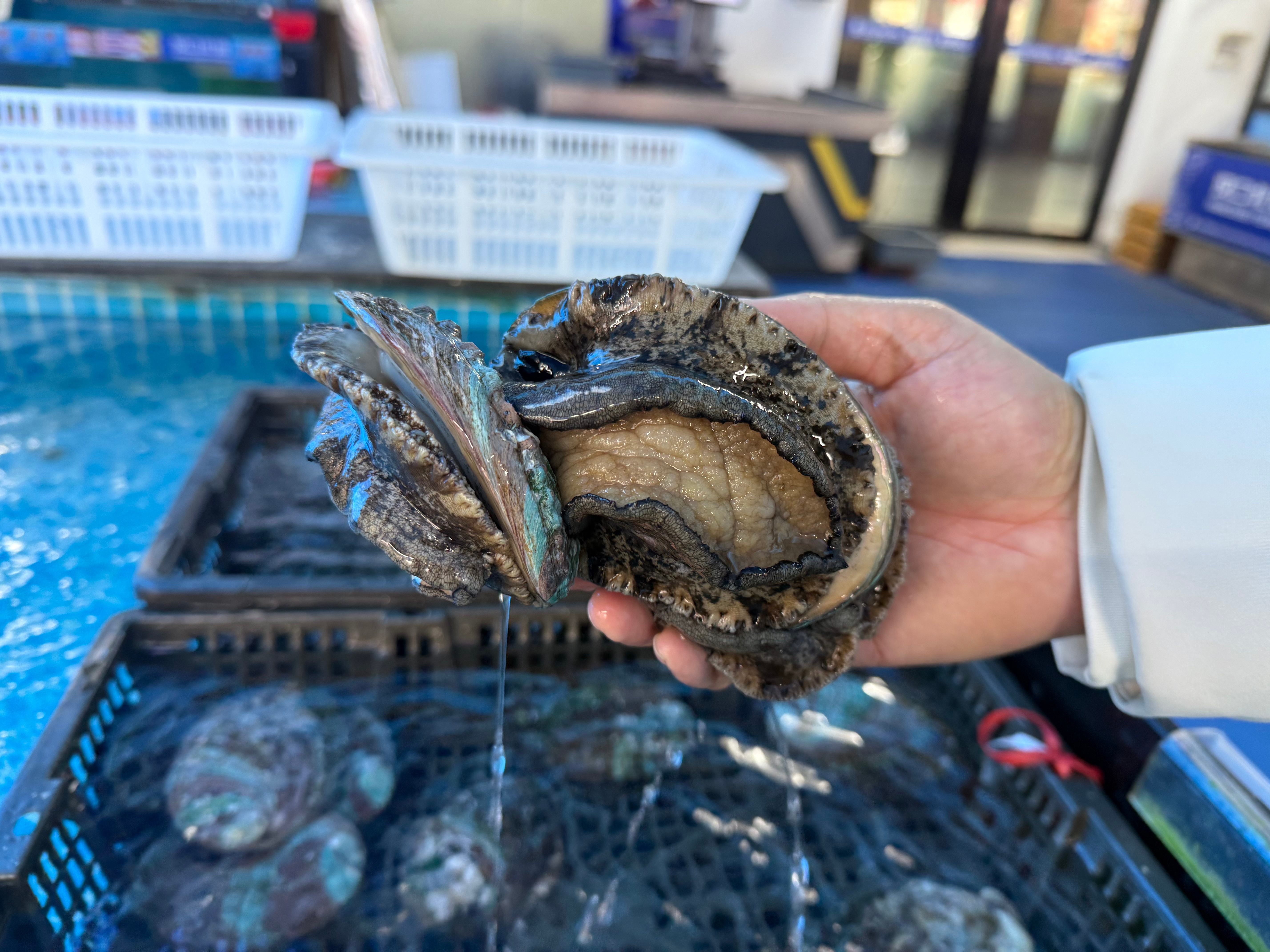 微信图片_20260106202402_1416_329