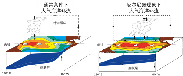 “史上最强”厄尔尼诺要来！极端天气越来越多 都是TA造成的吗？